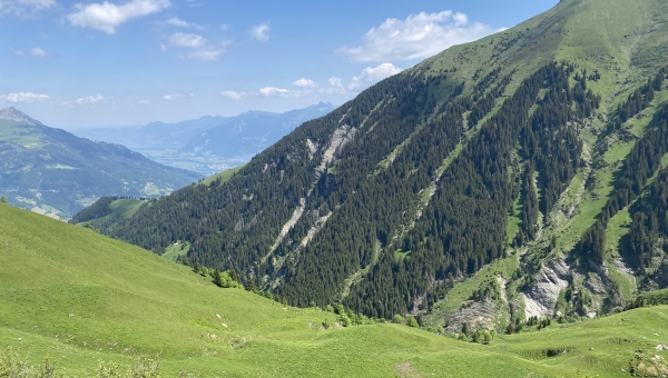 Le vallon de Chalin sera une réserve forestière dès janvier prochain